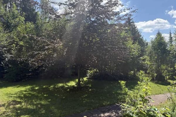 Immobilie in Fichtelberg - Idyllische Randlage mit eigenem Wald - Bild 3