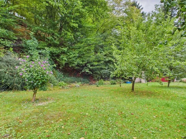 Immobilie in Greifenstein - Idyllisches Einfamilienhaus am Waldrand von Greifenstein-Ulm  - Bild 2