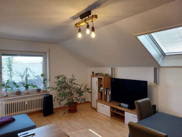 Immobilie in Breisach am Rhein - Mehrfamilienhaus mit großem Grundstück in Oberrimsingen - Bild 3