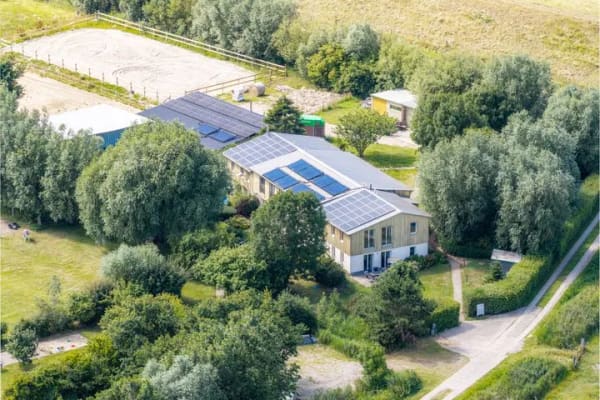 Immobilie in Tating - Exklusiver Hof, 4 Wohneinheiten, 3,8 Hektar, Traum-Alleinlage St. Peter-Ording Ferienhof o. Privat - Bild 1