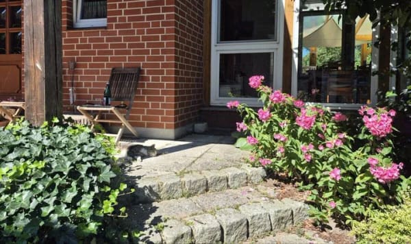 Immobilie in Dannenberg - Wohnen am See - Ein besonderes Zuhause mit großem Garten und eigenem Steg in Dannenberg - Bild 1