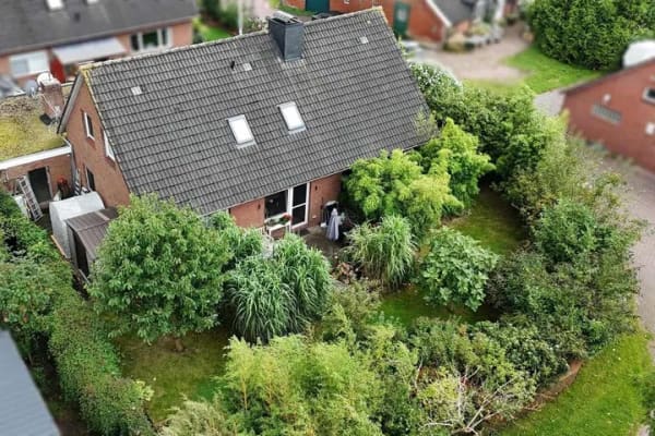 Immobilie in Jemgum - Naturnah Wohnen in Terborg - Bild 3