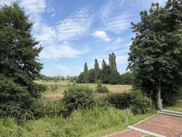 Immobilie in Vierhöfen - *** Rarität, Naturperle mit (Weit-) Blick *** - Bild 4