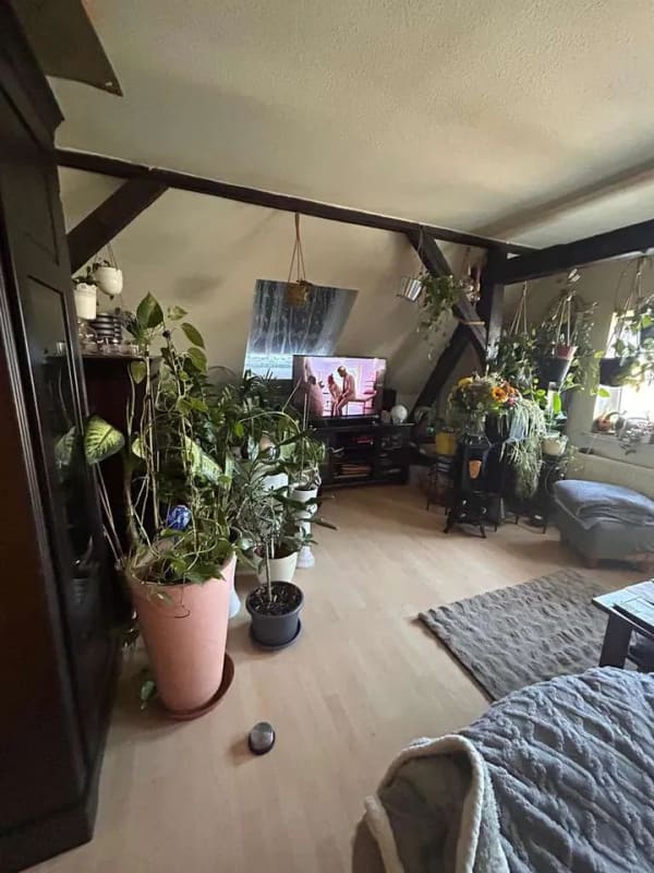 Immobilie in Schkopau - +++ Vermietete 3 Raumwohnung in Schkopau +++ - Bild 2