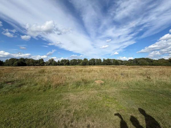 Immobilie in Coswig (Anhalt) - Großes Einfamilienhaus in Bräsen mit 5500m2 Grundstück - Bild 3