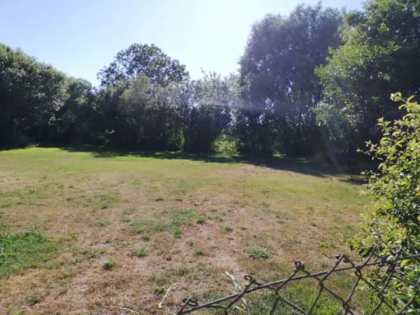 Immobilie in Schwedt/Oder - Freistehendes Einfamilienhaus mit ca. 153 m² Wohnfläche und großzügiger Grundstücksfläche - Bild 3