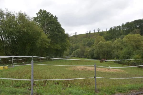 Immobilie in Netphen - Stall/Paddock/ Weideflächen 1,5 HA ! 3 FH in traumhafter Lage ! - Bild 0
