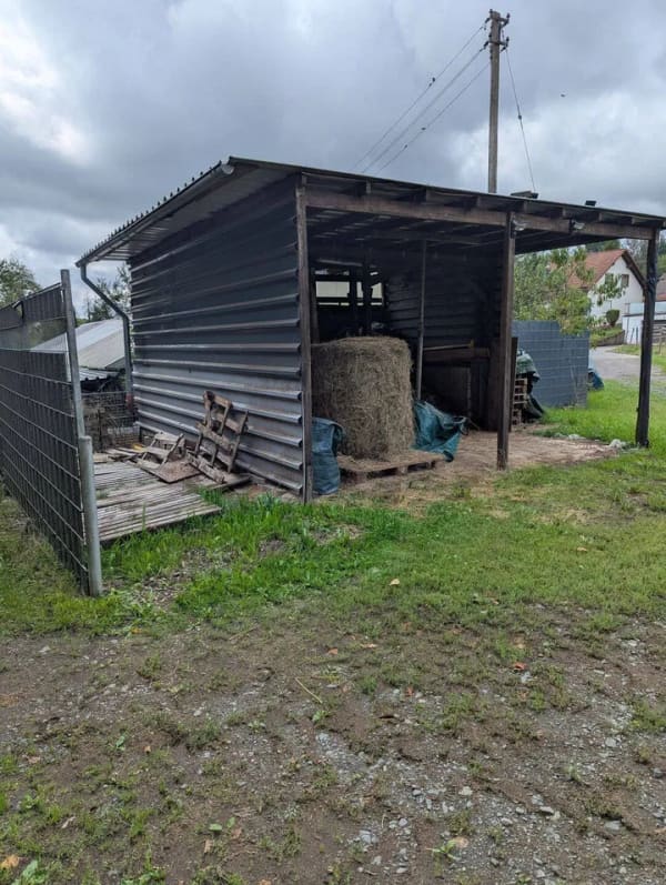 Immobilie in Netphen - Stall/Paddock/ Weideflächen 1,5 HA ! 3 FH in traumhafter Lage ! - Bild 4