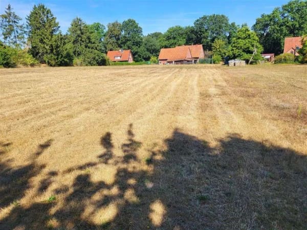 Immobilie in Balge - Zweifamilienhaus mit weiterem Bauland ... - Bild 4