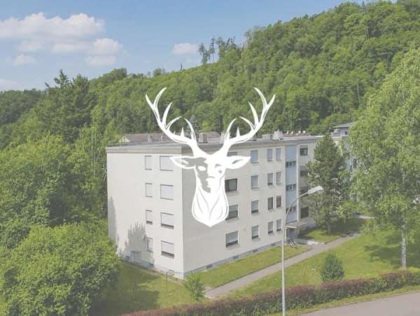 Immobilie in Wutöschingen - Attraktive 2-Zi-Eigentumswohnung mit Balkon in Wutöschingen zu verkaufen - Bild 0
