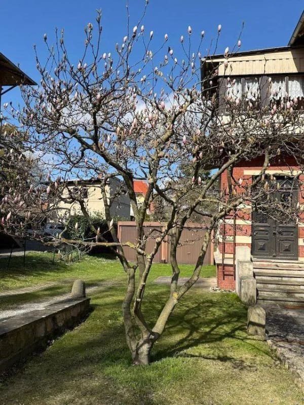 Immobilie in Blankenburg - Reichlich Platz bietet Ihnen diese Villa sowie historische Geschichte von Blankenburg - Bild 0