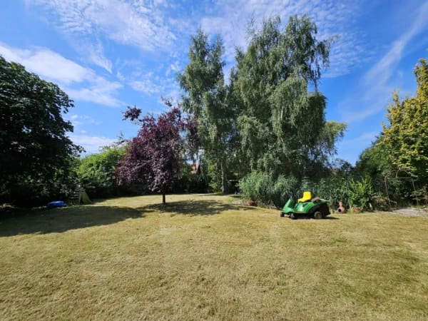 Immobilie in Thulendorf - Fachwerkhaus mit Reetdach - Bild 1