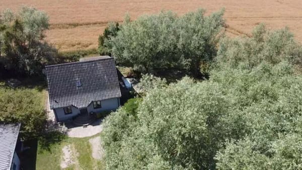 Immobilie in Insel Poel - Exklusives Wohnen in Alleinlage auf der Insel Poel nahe Wismar - Bild 3