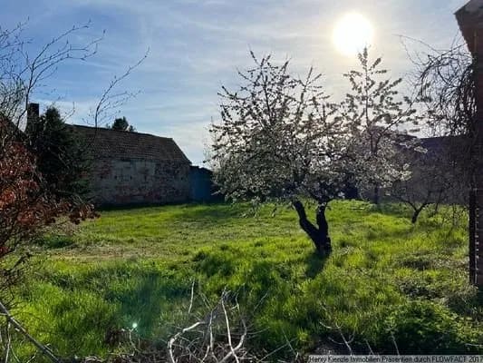 Immobilie in Jessen (Elster) - Soldes Zweifamilienhaus zum Sanieren für eine große Familie nebst Bauland - Bild 0