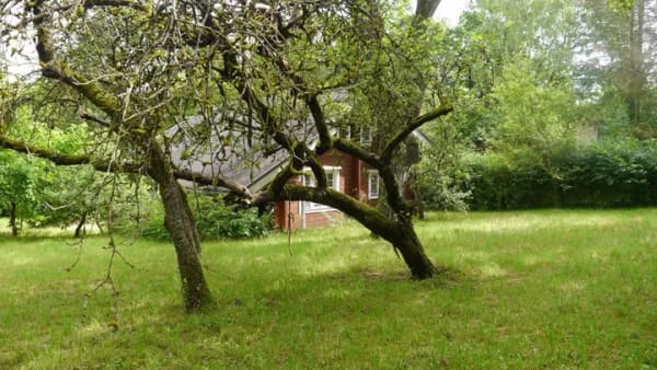 Immobilie in Jugenheim - Eingebettet im Grünen. Ein finnisches Block-Wochenendhaus in Rheinhessischem Jugenheim zu verkaufen - Bild 2