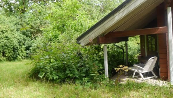 Immobilie in Jugenheim - Eingebettet im Grünen. Ein finnisches Block-Wochenendhaus in Rheinhessischem Jugenheim zu verkaufen - Bild 4