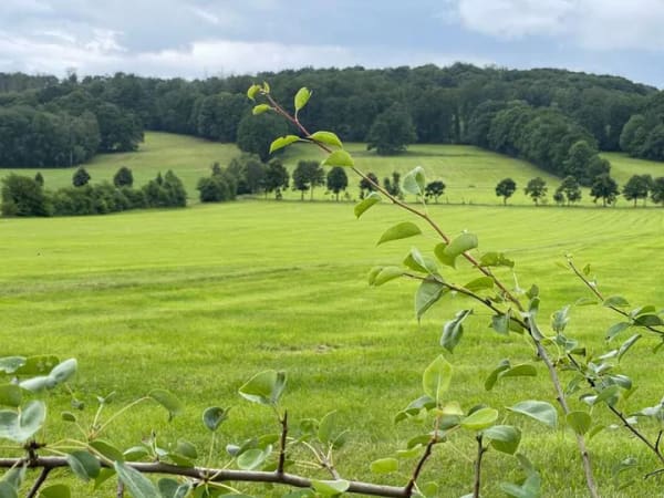 Immobilie in Königshain - Mehr als ein Haus: Freiraum, Fernblick und Platz für Ihre Ideen - Bild 3