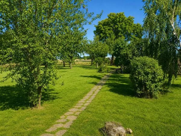 Immobilie in Naundorf - Gemütliches Einfamilienhaus mit idyllischem Garten und viel Gestaltungspotenzial in Naundorf - Bild 2