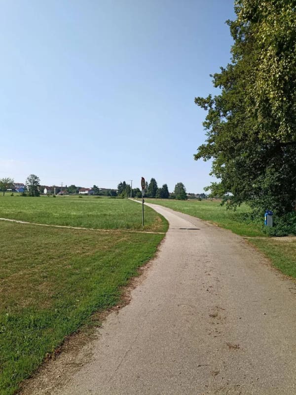 Immobilie in Geiselhöring - Einzigartiges Mühlenanwesen mit historischem Charme, eingenem Wasserkraftwerk, Pferdeanlage und außergewöhnlichem Entwicklungspotential - Bild 3