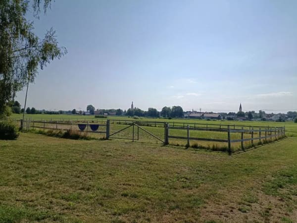 Immobilie in Geiselhöring - Einzigartiges Mühlenanwesen mit historischem Charme, eingenem Wasserkraftwerk, Pferdeanlage und außergewöhnlichem Entwicklungspotential - Bild 4