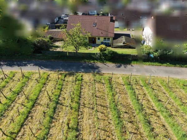 Immobilie in Pfaffenhofen - VBU Immobilien - Mit viel Platz, Ausbaupotenzial und unverbaubarer Aussicht - Bild 3