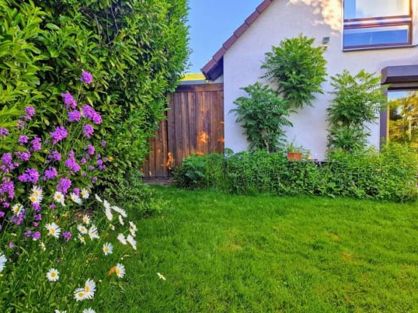 Immobilie in Rinteln - Helles Einfamilienheim mit Garten und Carport - Bild 0