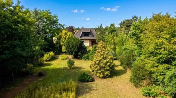 Immobilie in Meinersen - Meinersen - Seershausen - sehr gepflegtes Einfamilienhaus mit großem Garten - Bild 3