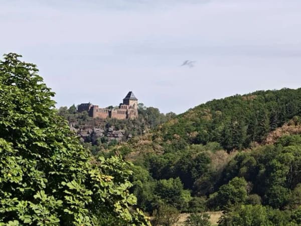 Immobilie in Nideggen - Ferienhaus mit großem Grundstück  in traumhafter Waldrand-Lage am Nationalpark Eifel - Bild 2