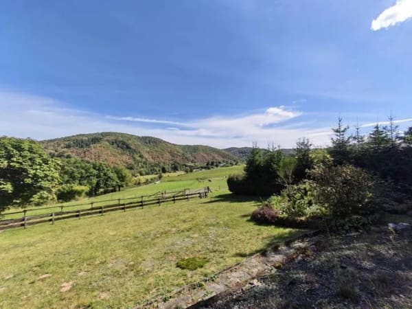 Immobilie in Nideggen - Ferienhaus mit großem Grundstück  in traumhafter Waldrand-Lage am Nationalpark Eifel - Bild 3