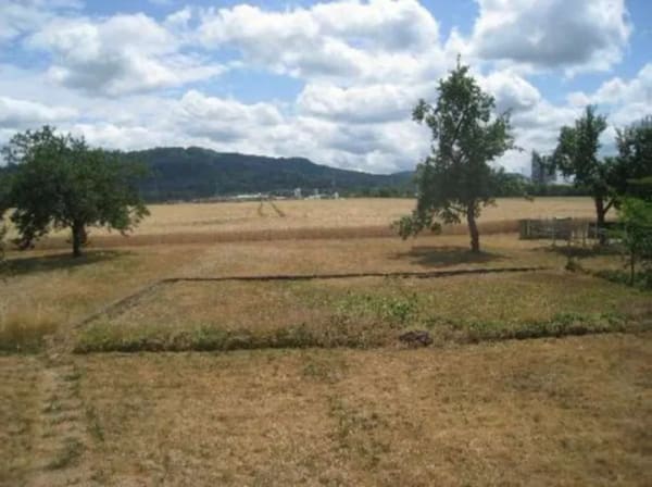 Immobilie in Dormettingen - Großzügiges Einfamilienhaus mit Fernblick auf den Plettenberg  - Bild 1