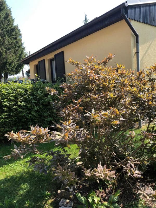 Immobilie in Hartmannsdorf bei Kirchberg - Gemütlicher 2-Zimmer-Bungalow mit großem Garten in Kirchberg-Stangengrün - Bild 3