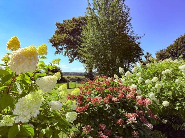 Immobilie in Goosefeld - Ruhe. Natur. Weitblick! Ein gemütliches Reihenendhaus am Ortsrand von Goosefeld - Bild 1