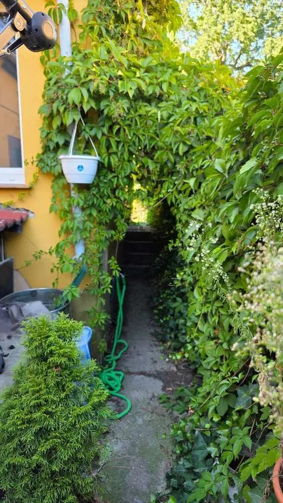 Immobilie in Groß Kreutz (Havel) - Haus für Handwerker in super Lage - Bild 3