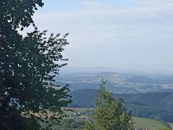 Immobilie in Freyung - Gepflegtes 1-Zimmer-Ferienappartement mit herrlichem Blick in Waldnähe - Bild 0