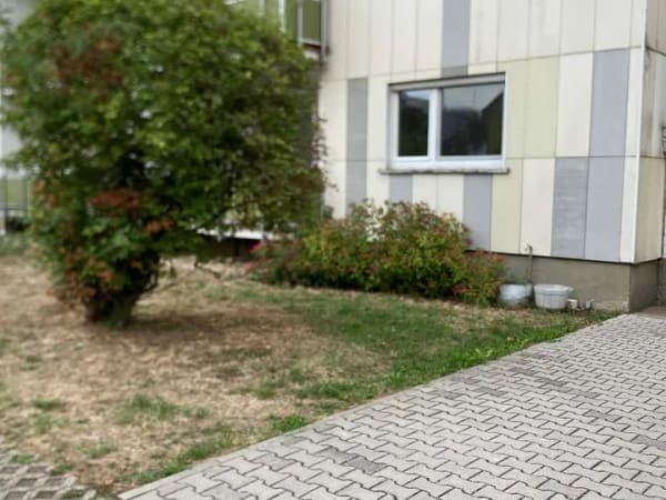 Immobilie in Hattersheim - Schöne 2 ZKB Wohnung mit Blick ins Grüne, Wofl 56qm plus Terrasse, Keller und Stellplatz - Bild 0