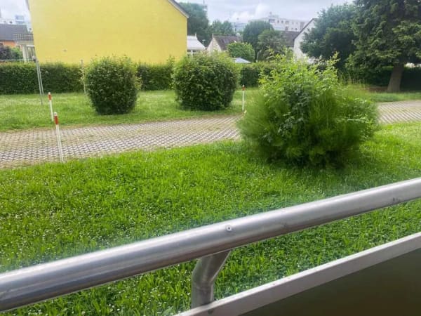 Immobilie in Hattersheim - Schöne 2 ZKB Wohnung mit Blick ins Grüne, Wofl 56qm plus Terrasse, Keller und Stellplatz - Bild 1