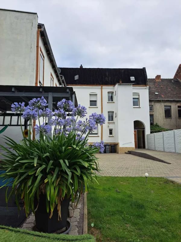 Immobilie in Dessau-Roßlau - Stadthaus - schönes Wohnen für 2-3 Familien - Bild 3