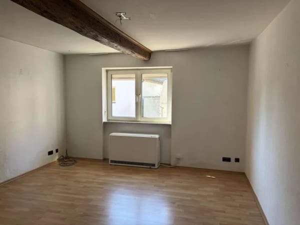 Immobilie in Bellheim - Einfamilienhaus mit Einliegerwohnung im ehemaligen landwirtschaftlichen Betrieb - Bild 3