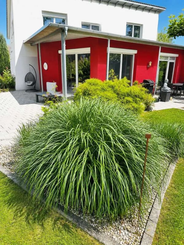 Immobilie in Altomünster - Lichtdurchflutetes naturnahes Einfamilienhaus ideal für Gewerbetreibende - Bild 0