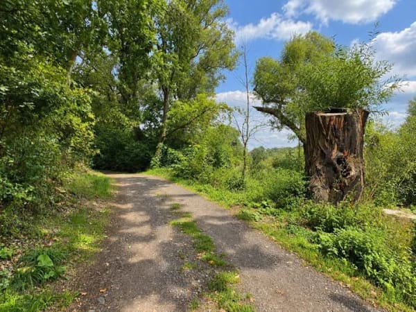 Immobilie in Bennewitz - Gutshof-Idylle: 438 m², 1 Doppelhaus kernsaniert und mehr. Nahe Kranich & Biber am Naturschutzgebiet - Bild 3