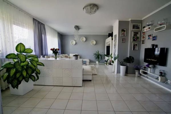 Immobilie in Reute - *** Freistehendes EFH, Freiburg/ Reute, Veranda, Komf. EBK, Einliegerwhg.,Niedrigenergiehaus/ Solar, Klimaanlage, viele Extras *** - Bild 2