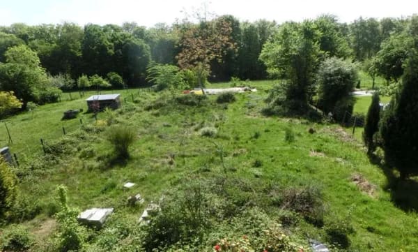 Immobilie in Neunkirchen-Seelscheid - Freistehendes Einfamilienhaus mit Einliegerwohnung und großem Grundstück in 53819 Neunkirchen-Seelsc - Bild 3