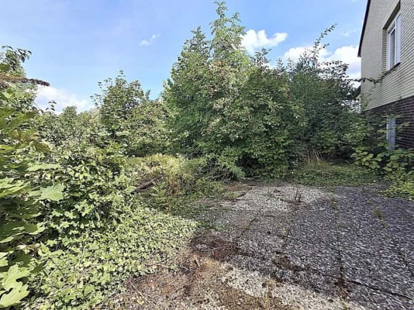 Immobilie in Königslutter am Elm - Einfamilienhaus in ruhiger Stadtrandlage von Königslutter am Elm - für den Käufer provisionsfrei - Bild 2
