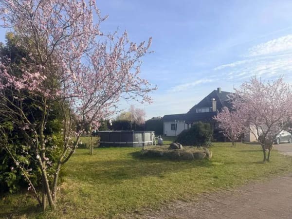 Immobilie in Cambs - Traumhaftes Einfamilienhaus mit Einliegerwohnung und Swimmingpool bei Schwerin zu verkaufen! - Bild 3