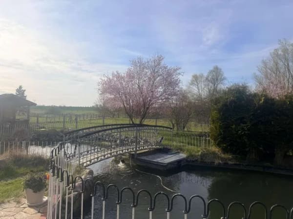 Immobilie in Cambs - Traumhaftes Einfamilienhaus mit Einliegerwohnung und Swimmingpool bei Schwerin zu verkaufen! - Bild 4