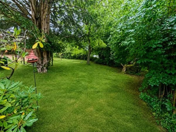 Immobilie in Kesseling - Traumhaus mit Garten sucht neue Eigentümer !! 53506 Kesseling - Bild 2