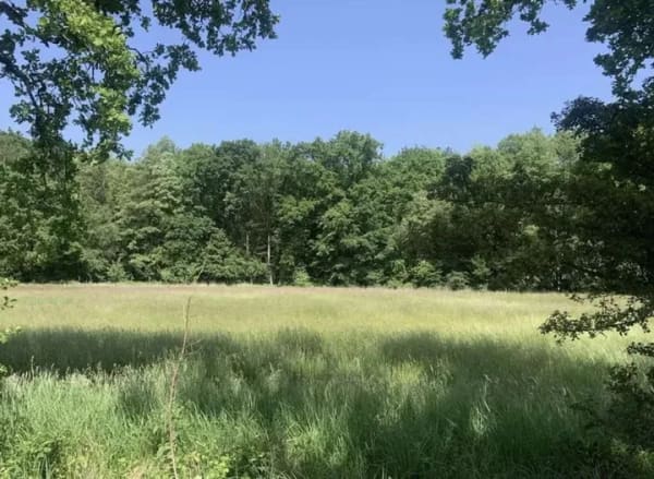 Immobilie in Darmstadt - Zweigeschossige Wohnung mit herrlichem Blick - Bild 0