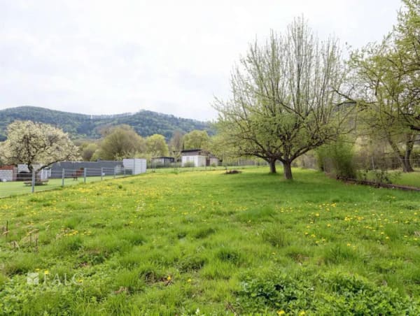 Immobilie in Beuren - Einfamilienhaus freistehend in Beuren - Bild 3