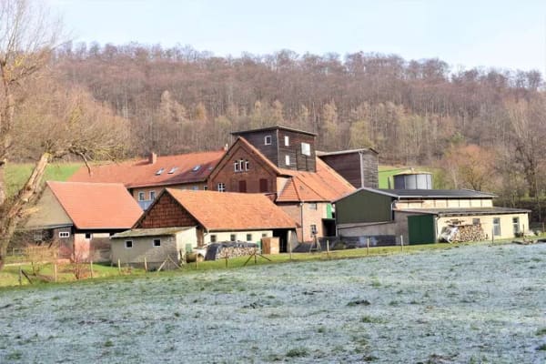 Immobilie in Freden (Leine) - Hofstelle mit bis zu 6ha Land-Pferdehaltung/Hofcafe´/2-4 WE alles denkbar - Bild 0