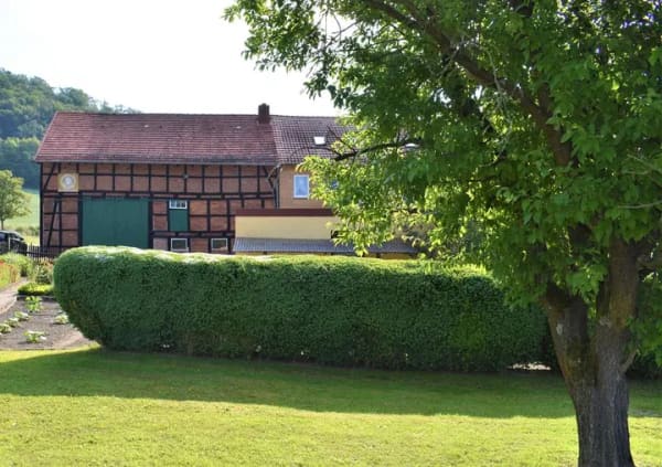 Immobilie in Freden (Leine) - Hofstelle mit bis zu 6ha Land-Pferdehaltung/Hofcafe´/2-4 WE alles denkbar - Bild 1